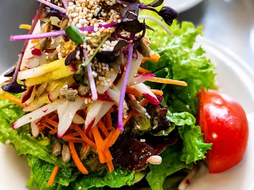 Vegetarisch-Vegan-1